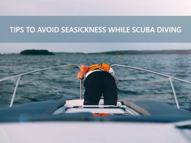 Tips to Avoid Seasickness While Scuba Diving