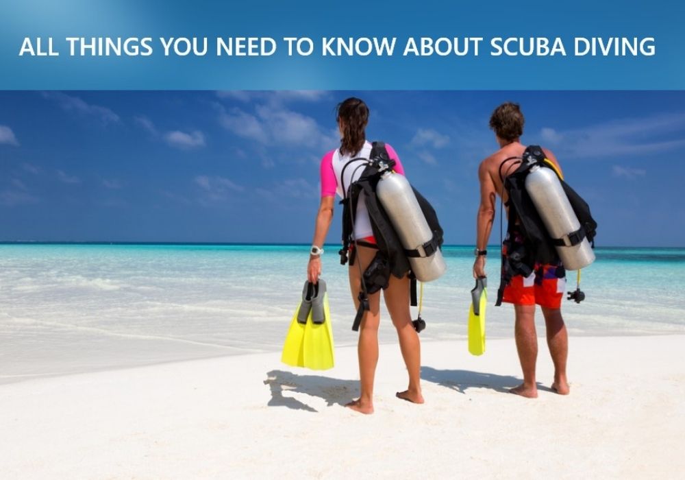 All Things You Need to Know About Scuba Diving