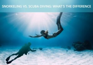 Snorkeling vs Scuba Diving: What's the Difference