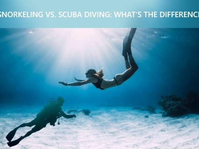 Snorkeling vs Scuba Diving: What’s the Difference?