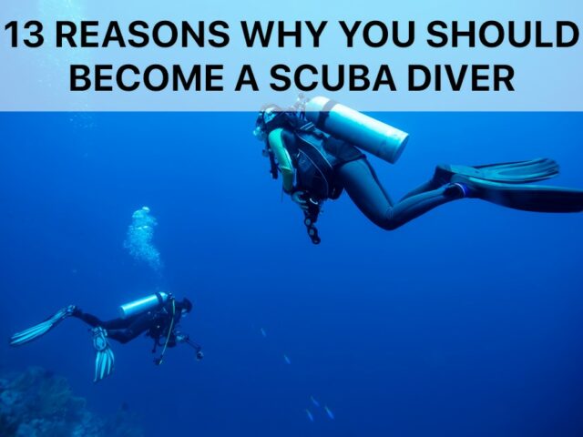 13 Reasons Why You Should Become a Scuba Diver