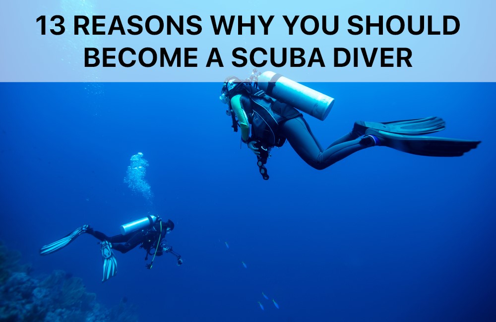 13 Reasons Why You Should Become a Scuba Diver - SMACODIVE