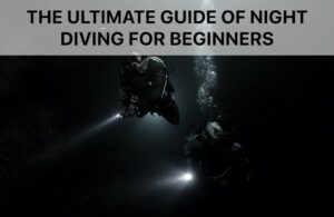 The Ultimate Guide of Night Diving for Beginners