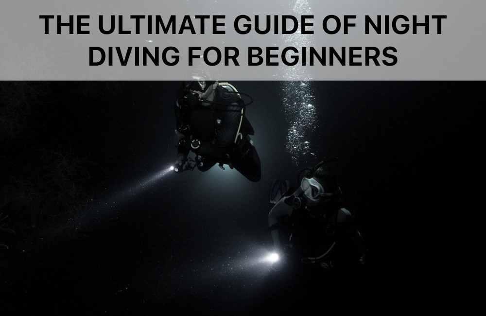 The Ultimate Guide of Night Diving for Beginners