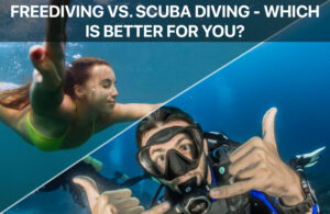 Freediving vs. Scuba Diving - Which Is Better for You?
