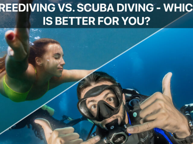 Freediving vs. Scuba Diving – Which Is Better for You?