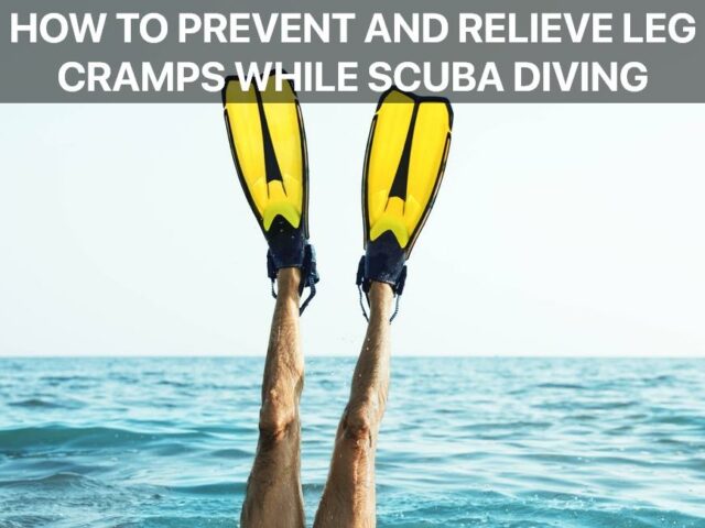 How to Prevent and Relieve Leg Cramps While Scuba Diving?
