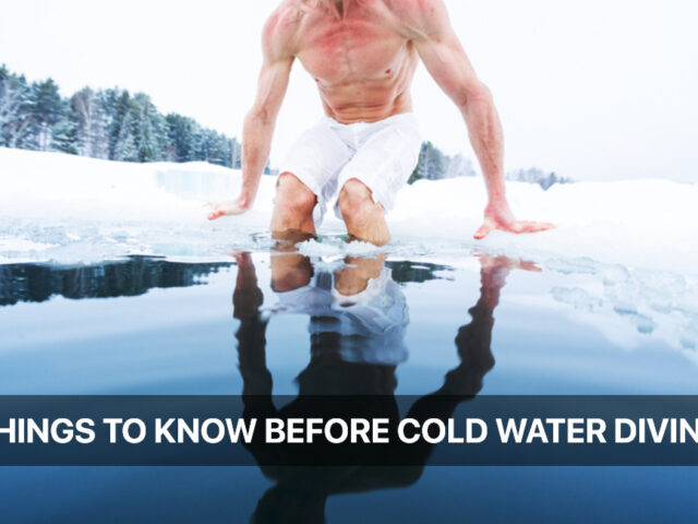 Things to Know Before Cold Water Diving