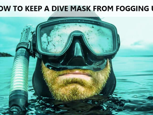 How to Keep A Dive Mask from Fogging Up?