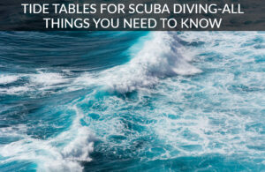 Tide Tables for Scuba Diving-All Things You Need to Know 