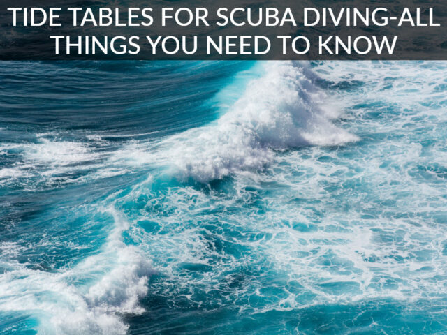 Tide Tables for Scuba Diving-All Things You Need to Know