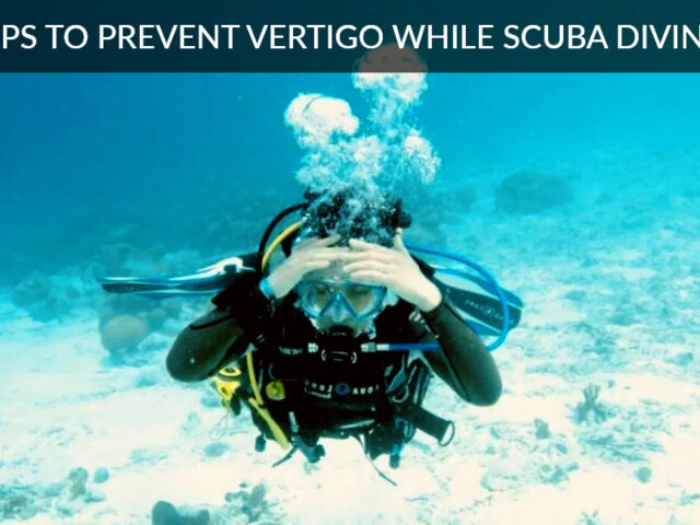 Tips to Prevent Vertigo While Scuba Diving