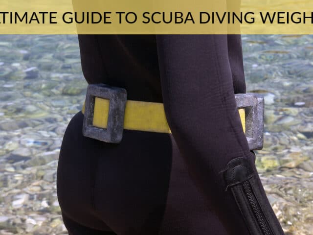 Ultimate Guide to Scuba Diving Weights