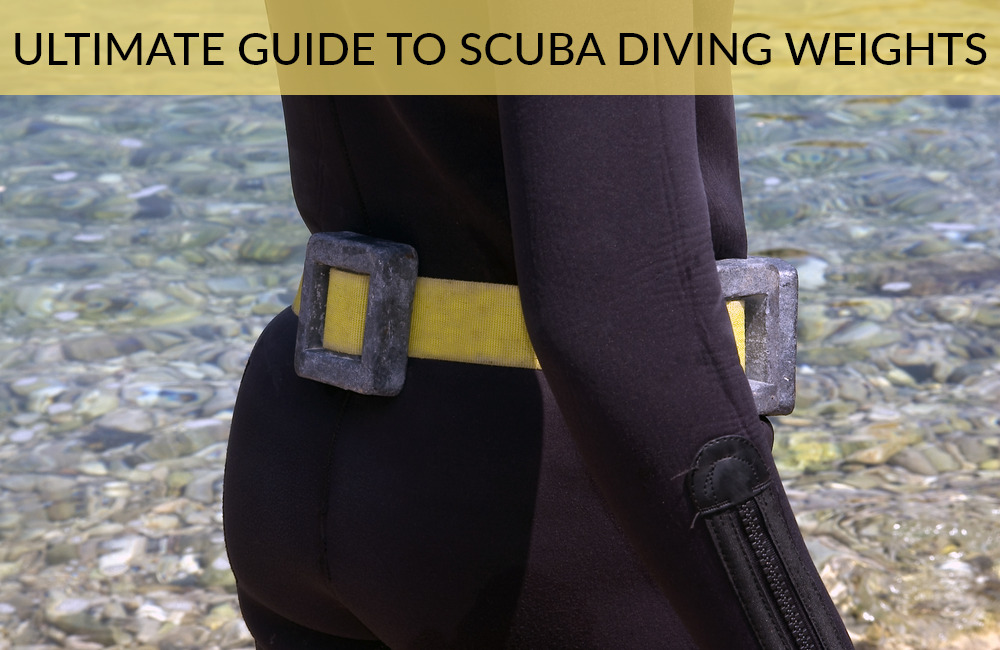 Ultimate Guide to Scuba Diving Weights