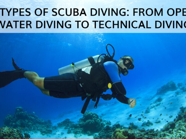 6 Types of Scuba Diving: From Open Water Diving to Technical Diving
