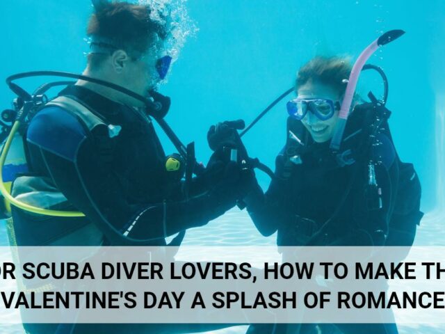For Scuba Diver Lovers, How to Make this Valentine’s Day a Splash of Romance