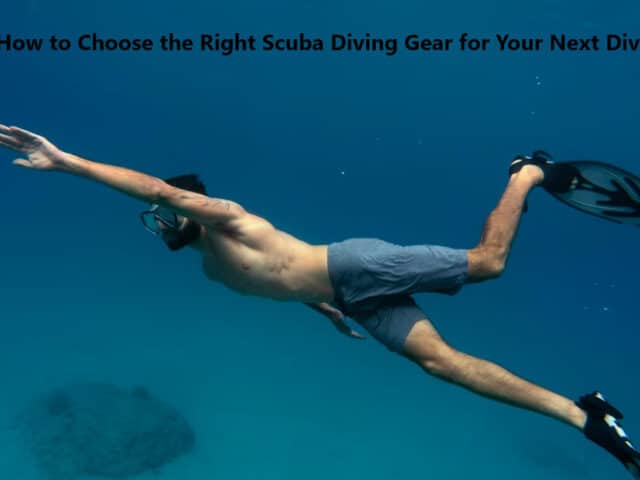 How to Choose the Right Scuba Diving Gear for Your Next Dive