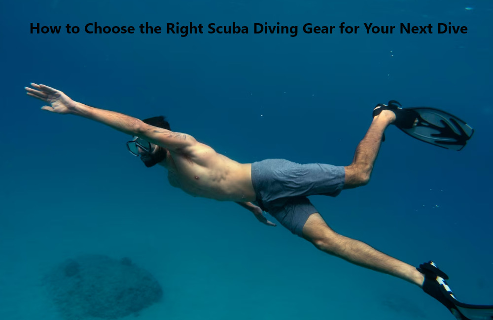 How to Choose the Right Scuba Diving Gear for Your Next Dive
