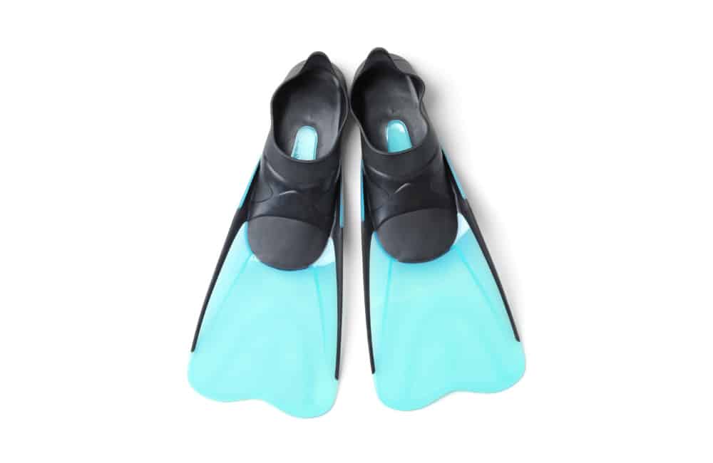 Fins
