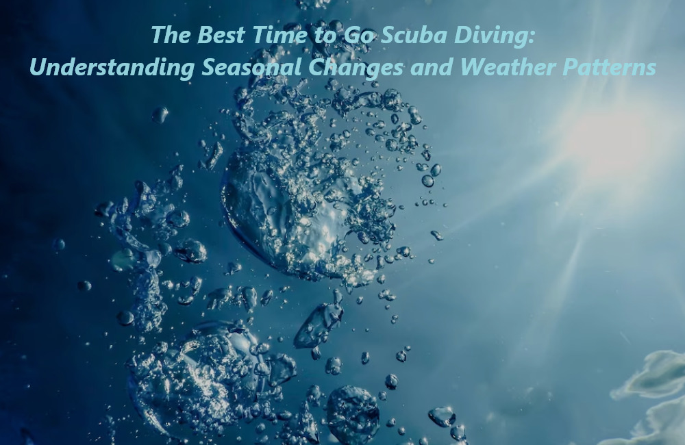 The Best Time to Go Scuba Diving Understanding Seasonal Changes and Weather Patterns
