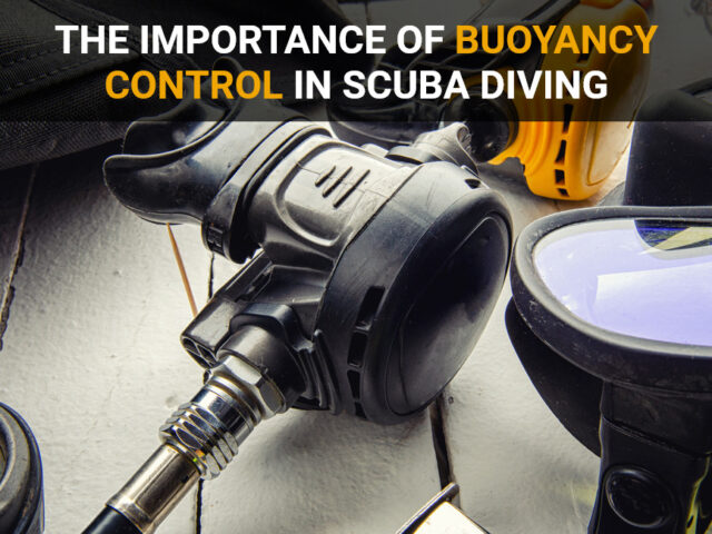 The Importance of Buoyancy Control in Scuba Diving