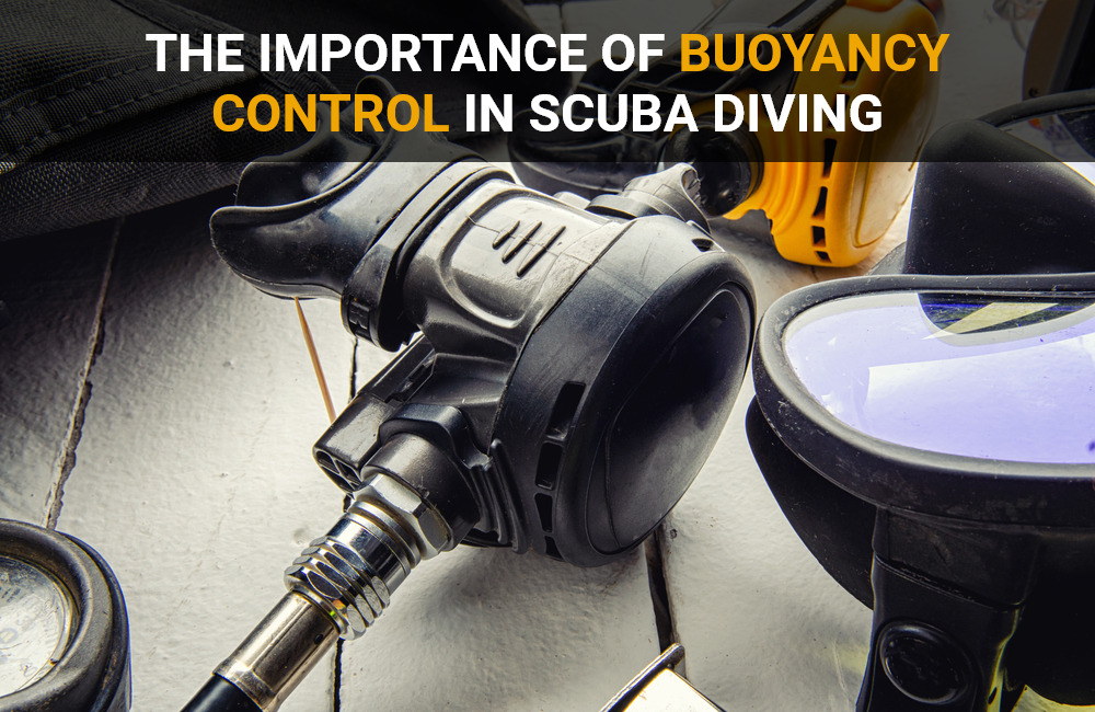 The Importance of Buoyancy Control in Scuba Diving