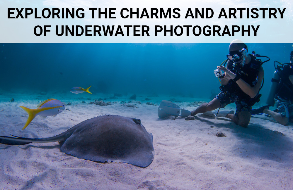 Exploring the Charms and Artistry of Underwater Photography