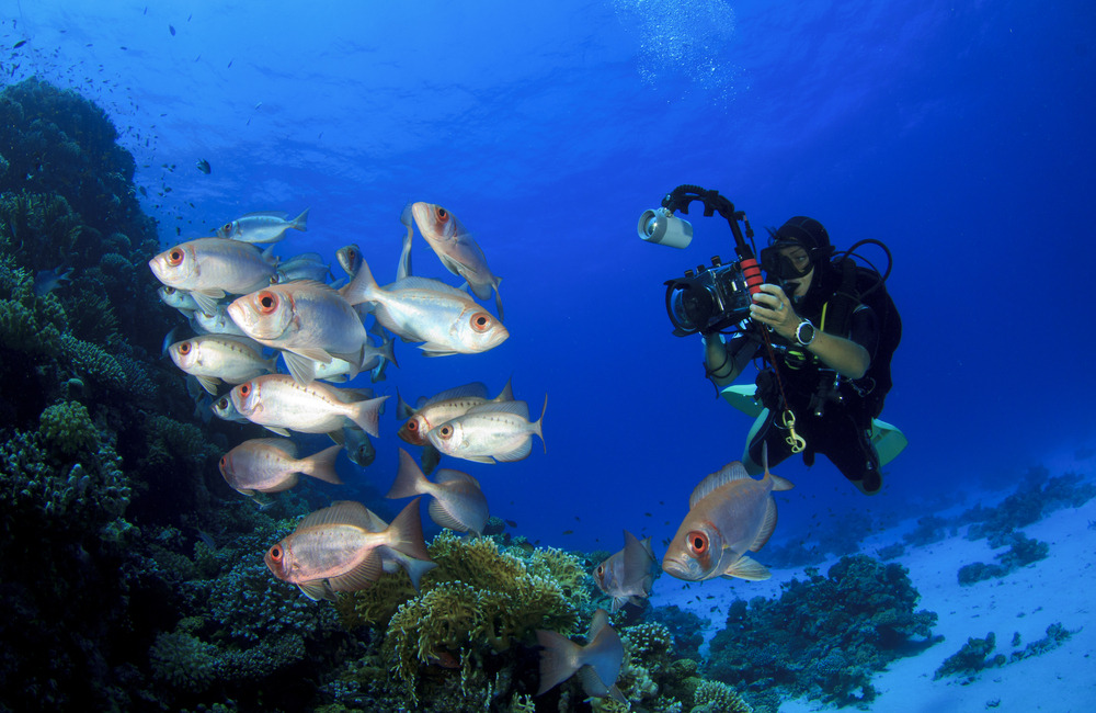 Locations and Subjects for Underwater Photography