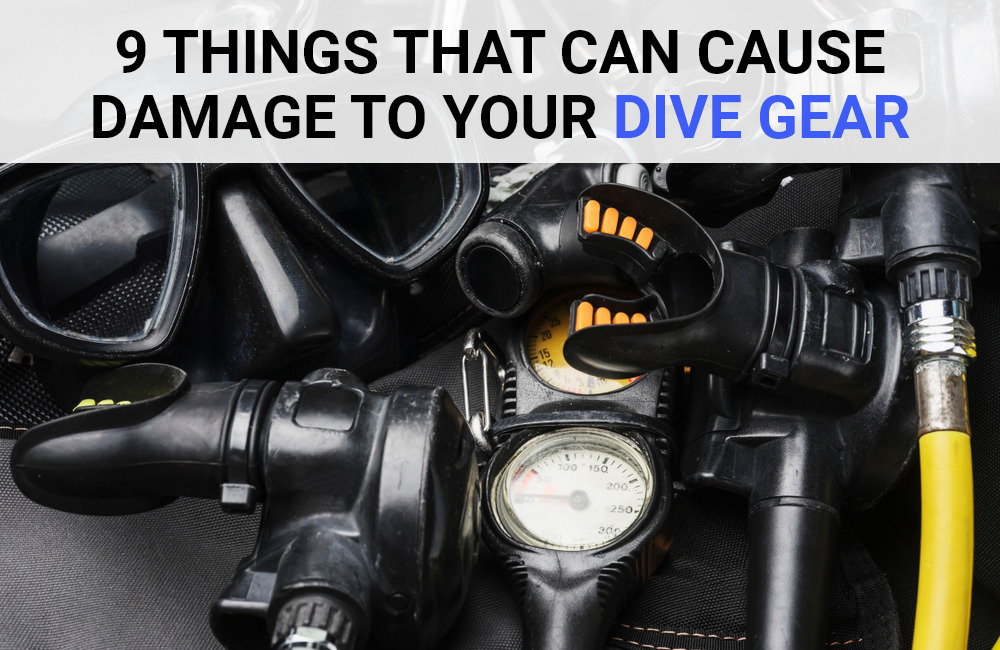9 Things That Can Cause Damage to Your Dive Gear