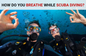 How Do You Breathe While Scuba Diving