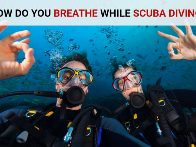 How Do You Breathe While Scuba Diving?