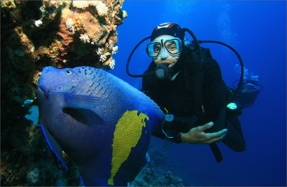 Neutral Buoyancy