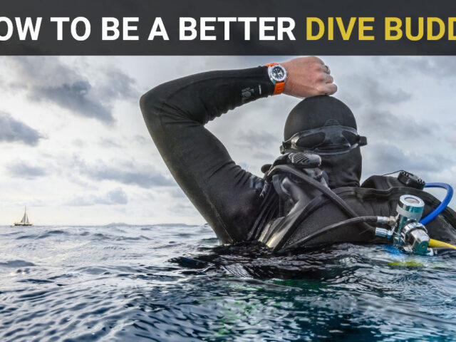 How to Be a Better Dive Buddy 