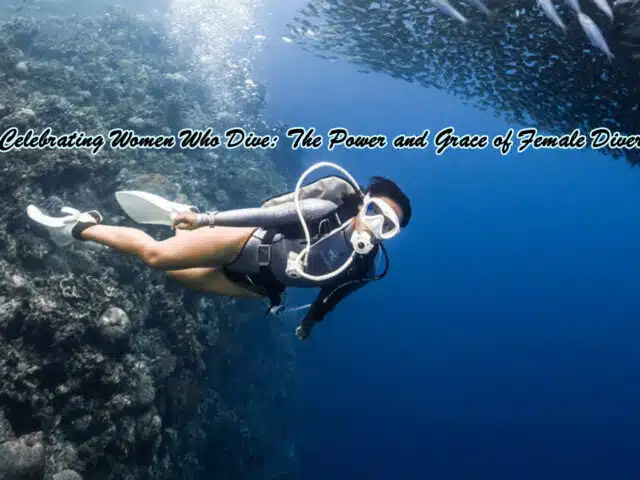 Celebrating Women Who Dive: The Power and Grace of Female Divers