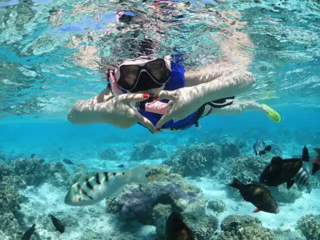 Diving Season is Coming: How to Plan Your First Diving Trip in 2025