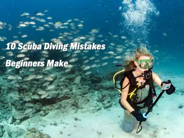 10 Scuba Diving Mistakes Beginners Make