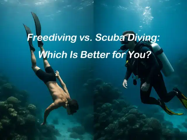 Freediving vs. Scuba Diving: Which Is Better for You?