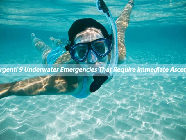Urgent! 9 Underwater Emergencies That Require Immediate Ascent