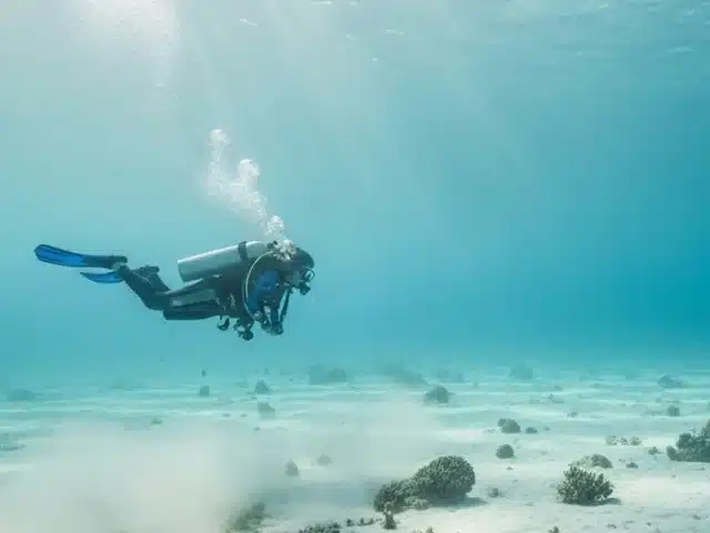 How to Choose Your First Mini Scuba Diving Tank as a Beginner